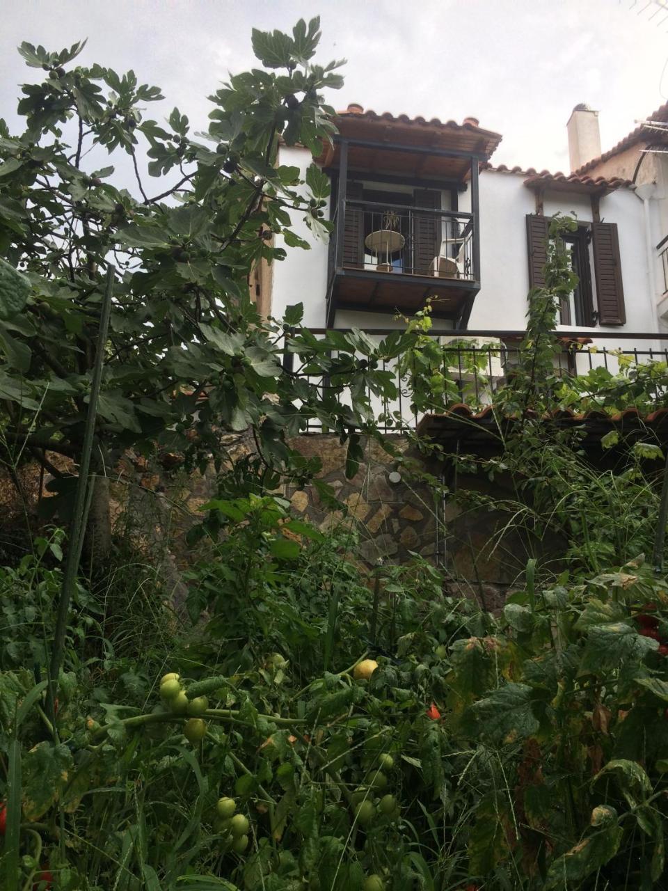 Gourgiana Apartments Andritsaina Exterior photo